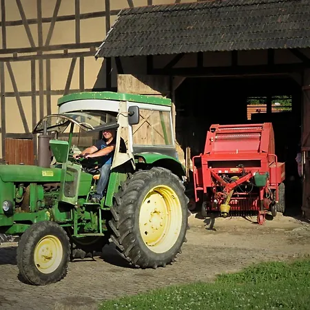 Charmante Mit Eigener Terrasse Bad Wildungen