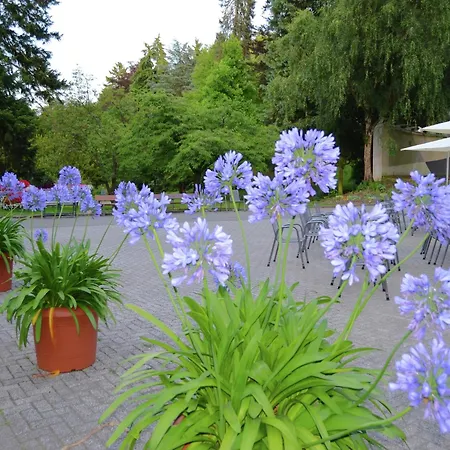 Charming With Private Terrace Apartment Bad Wildungen
