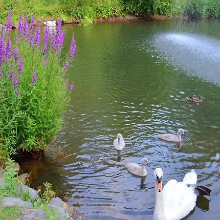 Charmante Mit Eigener Terrasse 아파트 *