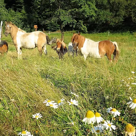 Charmante Mit Eigener Terrasse 아파트 *