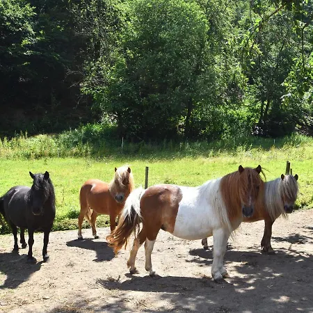 Charmante Mit Eigener Terrasse *