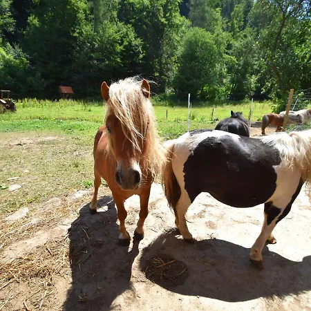 Charmante Mit Eigener Terrasse Appartement Bad Wildungen