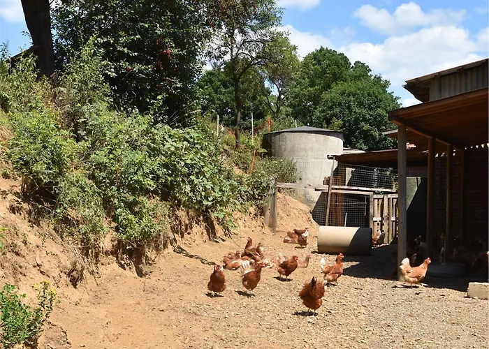 Charmante Mit Eigener Terrasse