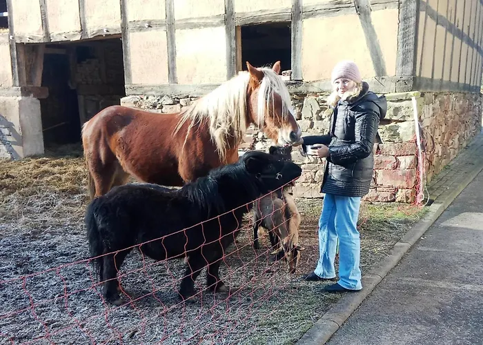 Charmante Mit Eigener Terrasse *