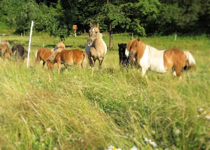 Charmante Mit Eigener Terrasse Apartamento