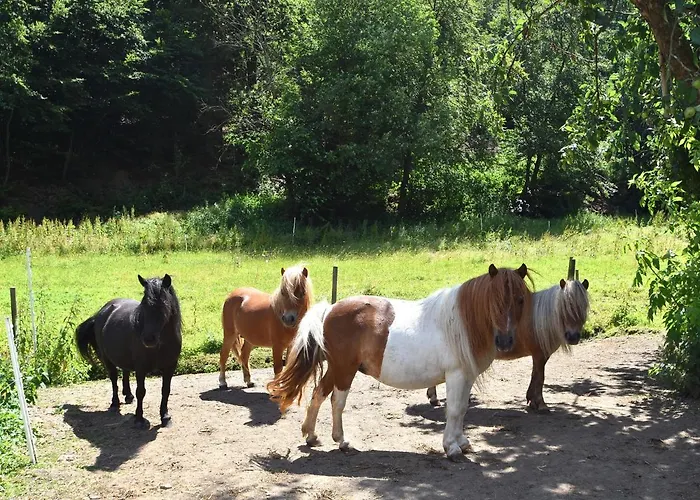 Charmante Mit Eigener Terrasse *