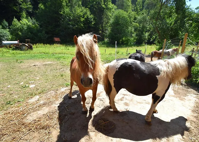 Charmante Mit Eigener Terrasse Apartamento Bad Wildungen